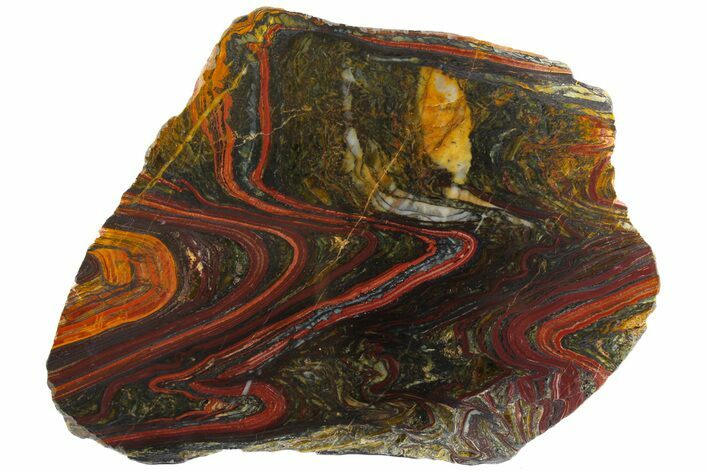 Polished Tiger Iron Stromatolite Slab - Billion Years #163110